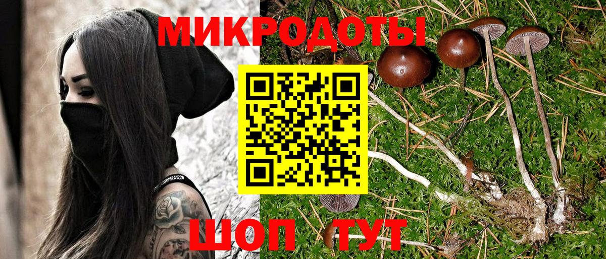Галлюциногенные грибы MAGIC MUSHROOMS Новосибирск