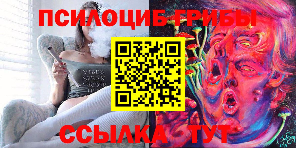 Псилоцибиновые грибы мицелий  купить наркоту  Псилоцибиновые грибы Psilocybine cubensis  Новосибирск  Вход с VPN 